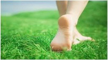 Health Tips: घास पर नंगे पैर चलने से बीमरियां रहती है दूर, शरीर को होते है अनेक फायदे